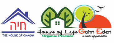 The House of Chayah